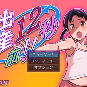 出産12秒前!! 공략 出産12秒前 title