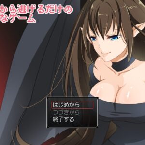 淫魔から逃げ回るだけの簡単なRPG title